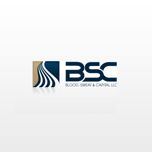 bs capital llc